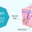 하얀드림피부과의원 이미지