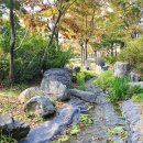 남부수자원생태공원 | 부천시 남부수자원생태공원 부천놀거리 아이와 가볼만한곳