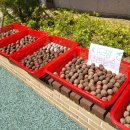 호연(병설)유치원 이미지