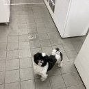 아름다운동물병원 이미지