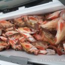 대왕슈퍼 이미지