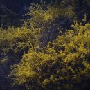 응봉공원 이미지