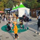 별빛캠핑장 이미지