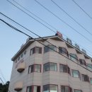 금정장모텔 Daum카페