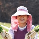 강회농장 네이버블로그