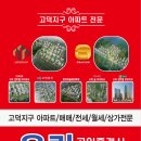 롯데비전부동산공인중개사사무소 이미지