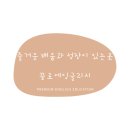 끌로에영어