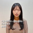 서울 미용실 | 서울 율헤어 레이어드컷 C컬펌 후기 서울 미용실 추천
