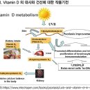 비타민D 제제, 과량 사용 시 고칼슘혈증 유발 다이보넥스 연고(Daivonex Oint) 이미지