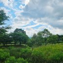 동화마을생태공원 배드민턴장 | 남양주 다산생태공원 서울근교 산책 드라이브코스 추천