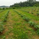 무학농원 이미지