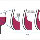 마랑고니 이미지