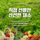 4공단로1L-68 | 26년 4월 14일 큐브데이 채소 과일 큐브 원재료