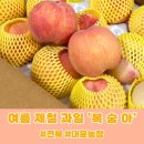 보내농장 | 작은형님 댁에서 보내주신 [대윤농장 복숭아] 올해도 복숭아 성공! 후기