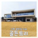 [가평 가볼 만한 곳] 가평여행 뷰 맛집 카페 골든트리에서 여유로운 시간 보내고 왔어요.