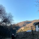 남양주 숲속의 오두막 황홀한 고립 1 /Cabin in the wood