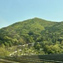 알마게스트 | 충남 아산 독채 풀빌라 감성숙소 찾는다면 ? 알마게스트 ✨⭐️숙소 후기