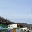 서덕천 | [천안애견펜션] 독채 프렌즈애견빌리지 내돈내산 나비쏘니 방문 솔직 후기
