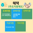 행정사사무소 더드림 이미지