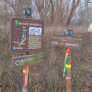 디엠지스테이 이미지