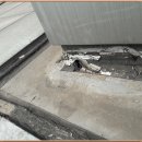 용인한국외국어대학교부설고등학교 이미지