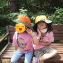 반월푸른유치원