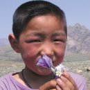 맑은아이 이미지