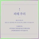 양평카 이미지