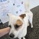 아르르