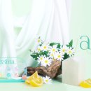 크리스찬바바라 이미지