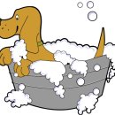 집에서도 간단히 반려견 미용 이미지