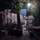 은행나무 포장마차 이미지