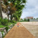 부흥중학교 이미지