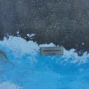 세파에 따르지    이미지