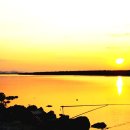 대자연낚시 이미지