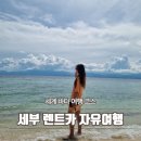 씨티카써비스 | 세부 렌트카 공항인수 위치 셀프 운전 코스 필리핀 자유여행