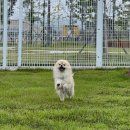 이선약국 | @ 10월 일상