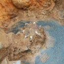 구암동544 이미지