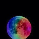 문모터스MoonMotors