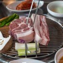 산방산의 품 이미지