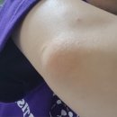 내몸에휴 | 청주 세신샵 여성전용 산남동 내몸에 휴