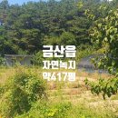 금산IC 이미지