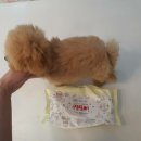 라네쥬 독(Laneige.dog) 이미지