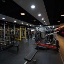 핏플러스 제임스 피트니스 이미지