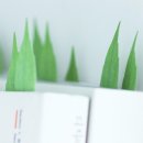 모티브디자인