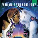 캣츠앤독스 이미지