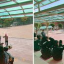 스터디독스쿨 이미지