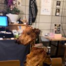 산본주유소 이미지