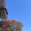 미식&포토스팟 코스 | 파리 여행코스 추천 영화 미드나잇인파리 장소 에펠탑포토스팟 추천