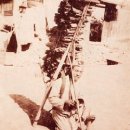 (유)삼환 | “자로는 쓸만한 재목이 아니다” / 쉬운 논어 (5-060) 무소취재 (無所取材)